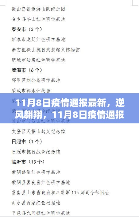 11月8日疫情最新通报，逆风翱翔中的成就与自信之光