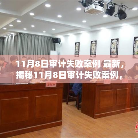 揭秘最新审计失败案例，深度分析与启示（11月8日）