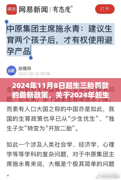 2024年超生三胎罚款最新政策解读与操作指南