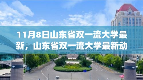 山东省双一流大学最新动态深度解读与观点阐述（11月8日更新）