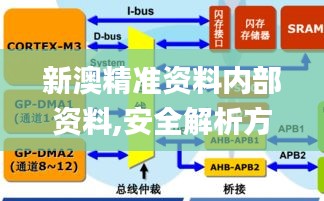 新澳精准资料内部资料,安全解析方案_定制版IGV472.69