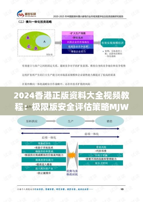 2024香港正版资料大全视频教程：极限版安全评估策略MJW217.37