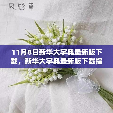 新华大字典最新版下载指南，解锁学习新姿势，11月8日全新上线！