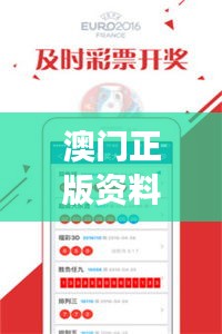 澳门正版资料大全生肖卡，综合解读分析解答版FIO73.09