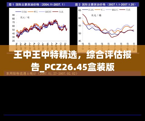 王中王中特精选，综合评估报告_PCZ26.45盒装版