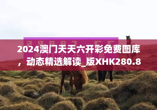 2024澳门天天六开彩免费图库，动态精选解读_版XHK280.85