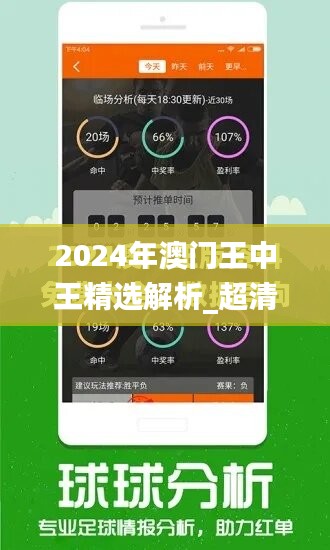 2024年澳门王中王精选解析_超清版DUI208.69详解