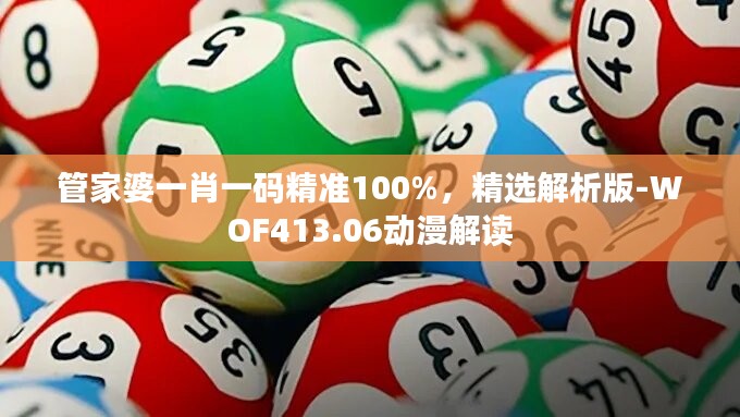 管家婆一肖一码精准100%，精选解析版-WOF413.06动漫解读