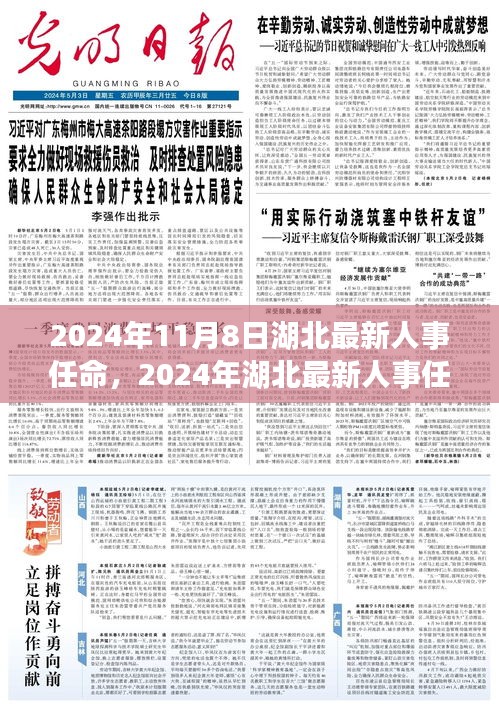 湖北人事任命概览，特性、体验与竞争分析，目标用户洞察及最新人事任命通知（2024年11月）