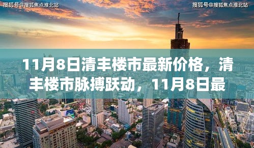 11月8日清丰楼市最新价格动态与深度解析