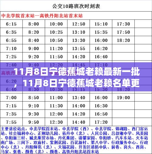 11月8日宁德蕉城老赖名单更新步骤指南，适合初学者与进阶用户