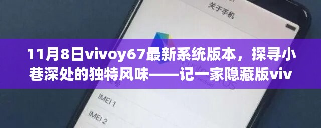 探寻小巷深处的独特风味，Vivoy67最新系统版本特色小店揭秘