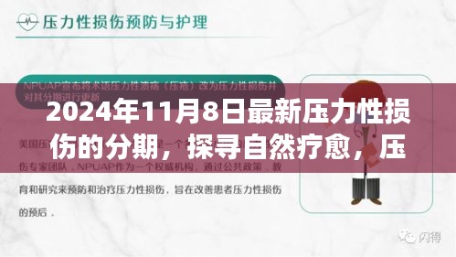 压力性损伤分期与心灵之旅的奇妙相遇，自然疗愈新视角（2024年11月8日）