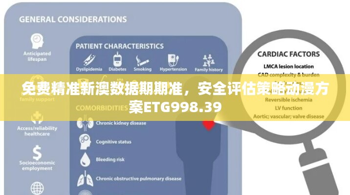 免费精准新澳数据期期准，安全评估策略动漫方案ETG998.39