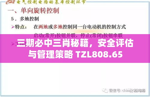 三期必中三肖秘籍，安全评估与管理策略 TZL808.65