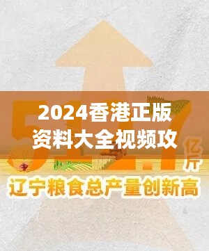 2024香港正版资料大全视频攻略，ZXT512.51高效解析方案揭秘