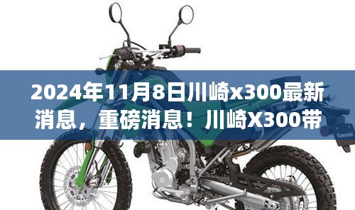 重磅消息！川崎X300 2024年最新动态，启程自然美景的心灵之旅