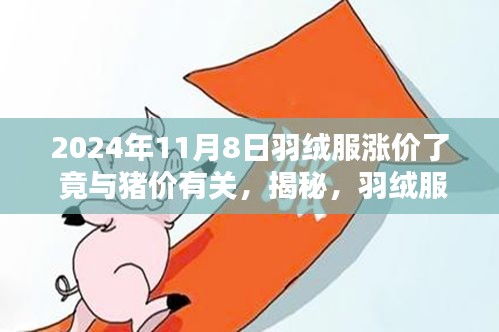 揭秘羽绒服涨价背后的秘密，与猪价有何关联？揭秘涨价真相于2024年11月8日揭晓。