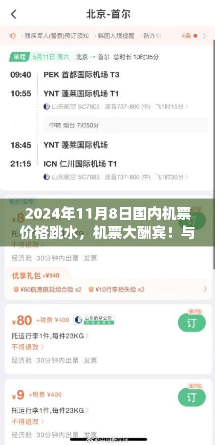 飞行约定提前启动！2024年11月8日国内机票大降价，惊喜跃动回家的路