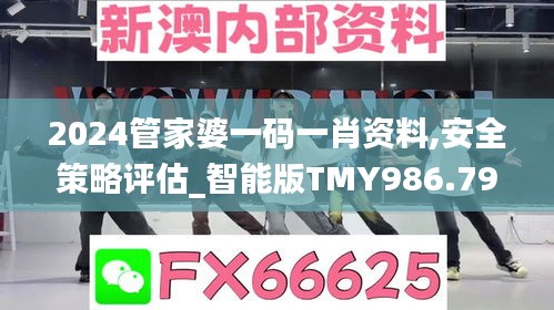 2024管家婆一码一肖资料,安全策略评估_智能版TMY986.79