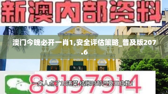 澳门今晚必开一肖1,安全评估策略_普及版207.6