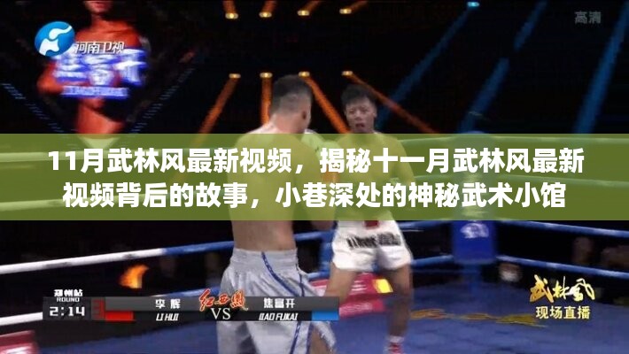 揭秘武林风最新视频背后的故事，神秘武术小馆十一月精彩瞬间回顾