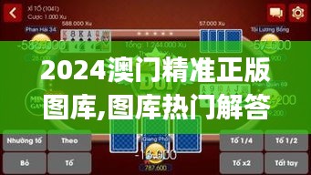 2024澳门精准正版图库,图库热门解答_游戏版LPU402.25