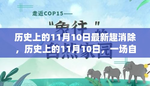 历史上的11月10日，自然美景消除之旅，探寻内心的宁静与平和日