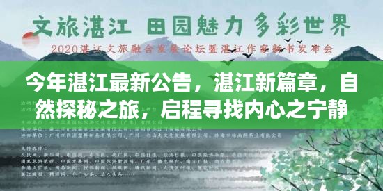 湛江新篇章，自然探秘之旅，寻找内心宁静的启程