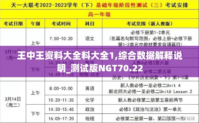 王中王资料大全料大全1,综合数据解释说明_测试版NGT70.22