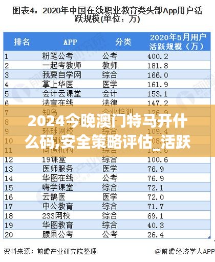 2024今晚澳门特马开什么码,安全策略评估_活跃版TQO406.82