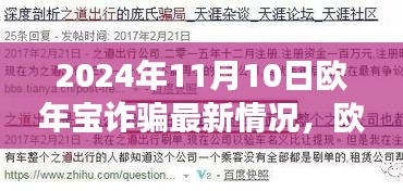 欧年宝诈骗最新进展深度解析，观点阐述与剖析（2024年11月10日）