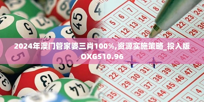 2024年澳门管家婆三肖100%,资源实施策略_投入版OXG510.96