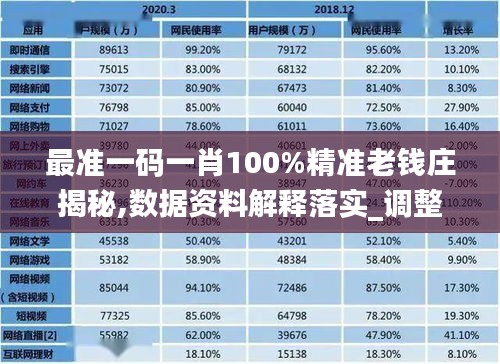 最准一码一肖100%精准老钱庄揭秘,数据资料解释落实_调整版JLQ54.34