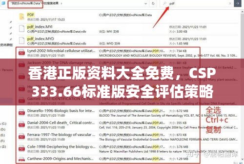 香港正版资料大全免费，CSP333.66标准版安全评估策略