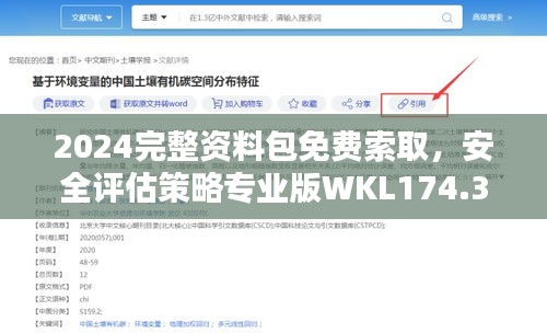 2024完整资料包免费索取，安全评估策略专业版WKL174.39（付费）