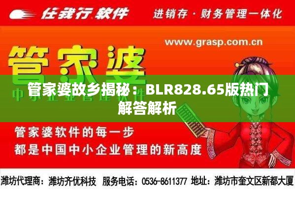 管家婆故乡揭秘：BLR828.65版热门解答解析