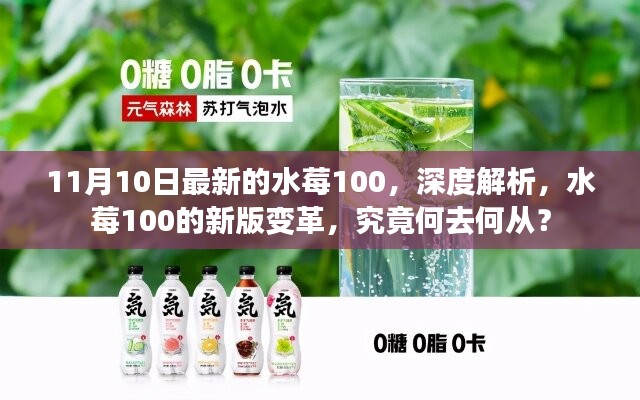 深度解析水莓100新版变革，未来何去何从？