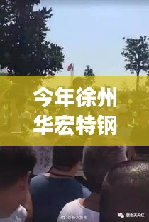 徐州华宏特钢的崛起，最新动态与深远影响分析