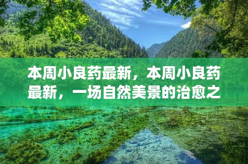 探寻内心平和与宁静的治愈之旅，本周小良药带你领略自然美景的魅力