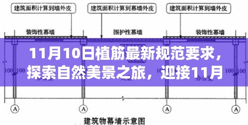 探索自然美景之旅，迎接植筋新规范，寻找心灵的静谧之地之旅