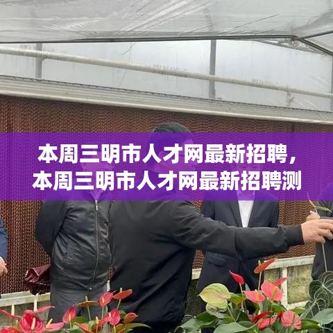 本周三明市人才网最新招聘及其测评介绍概览