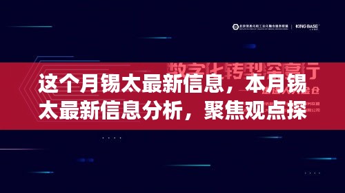 锡太最新动态分析，聚焦本月信息探讨与个人立场阐述