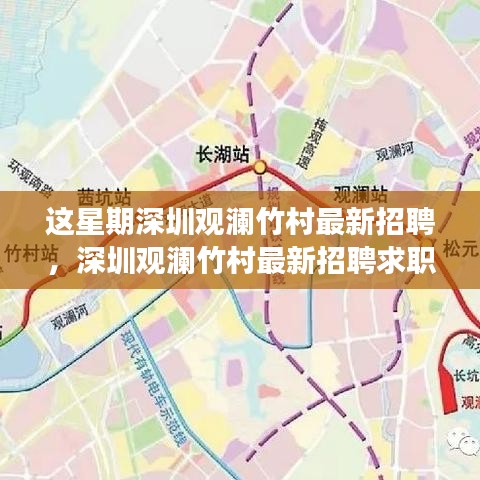 深圳观澜竹村最新招聘全攻略，如何成功应聘与求职指南