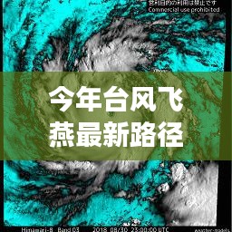 今年台风飞燕最新路径图详解，查询与解读步骤指南