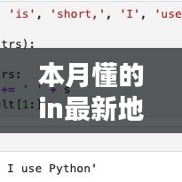 本月懂的in最新地址详解，初学者与进阶用户的使用指南