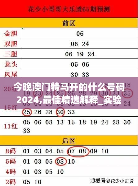 今晚澳门特马开的什么号码2024,最佳精选解释_实验版973.76