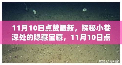 探秘小巷深处的隐藏宝藏，揭秘特色小店的最新上榜秘密（11月10日点赞更新）