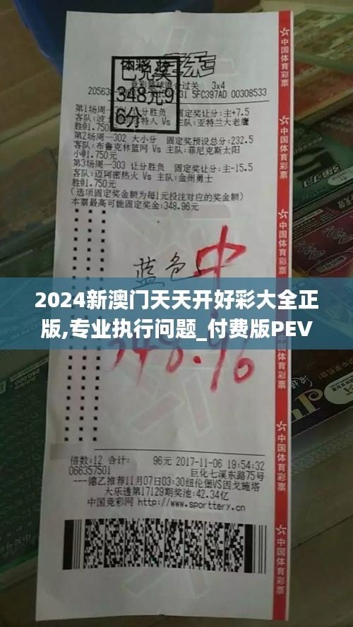 2024新澳门天天开好彩大全正版,专业执行问题_付费版PEV723.29