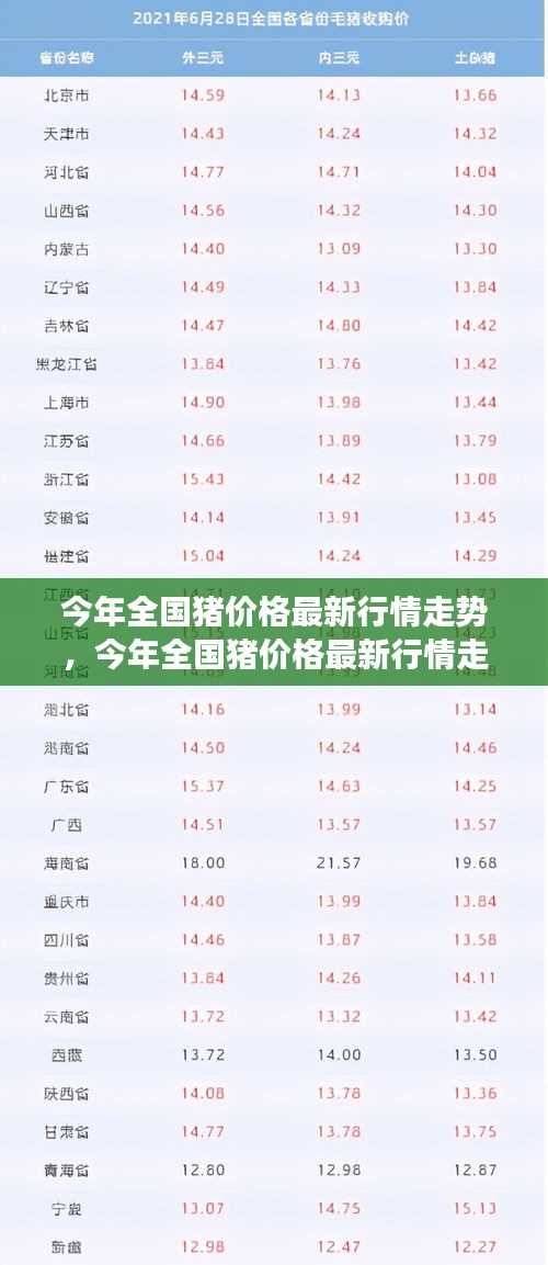 今年全国猪价格最新行情走势深度解析，多方观点碰撞与个人立场阐述